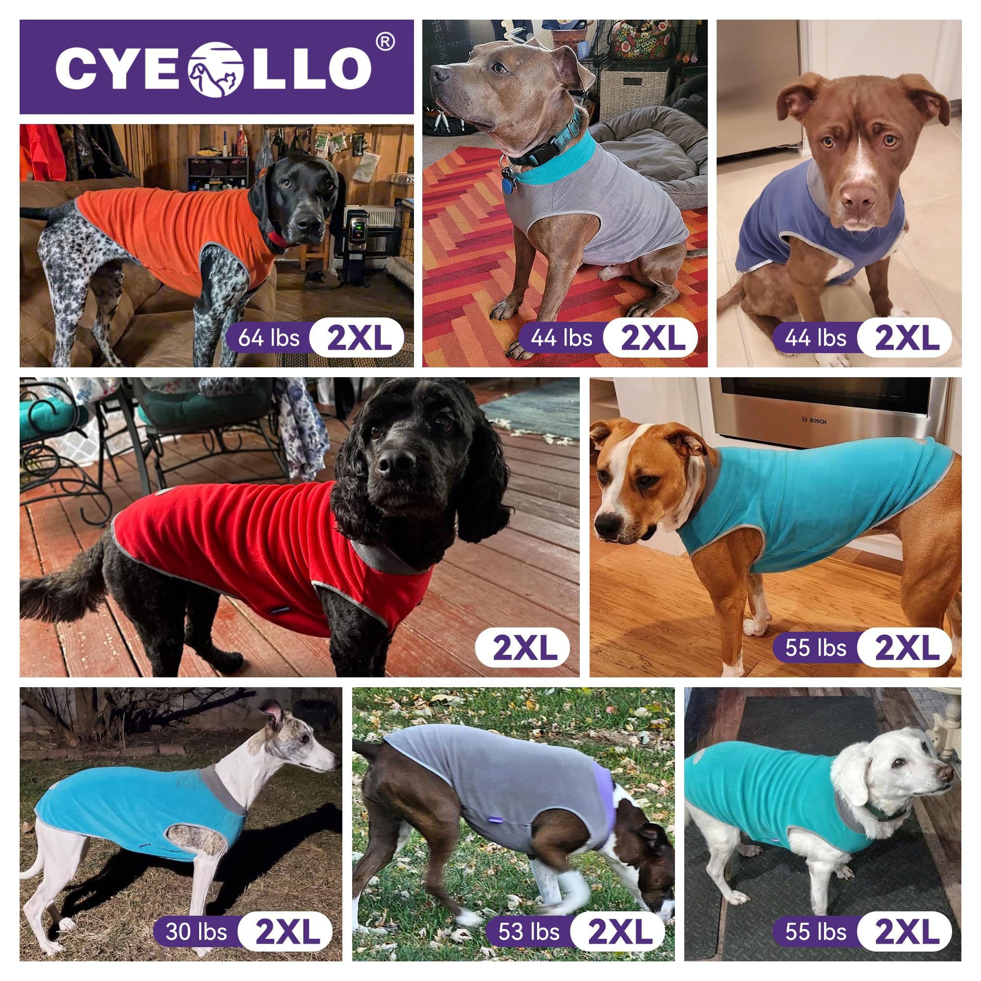 Cyeollo size guide helps you pick the right fit for small to medium dogs.