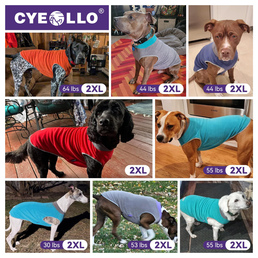 Cyeollo size guide helps you pick the right fit for small to medium dogs.