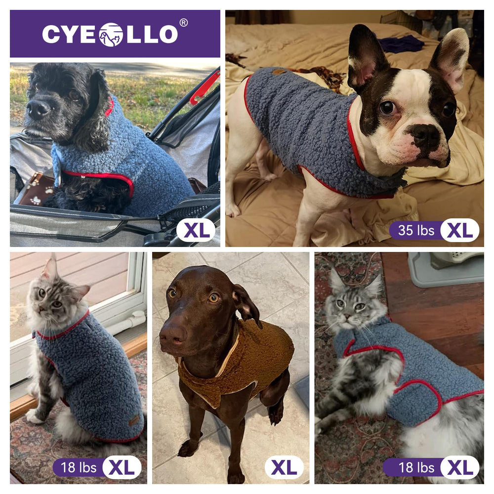 cyeollo size guide graphic shows six dog sizes for fit