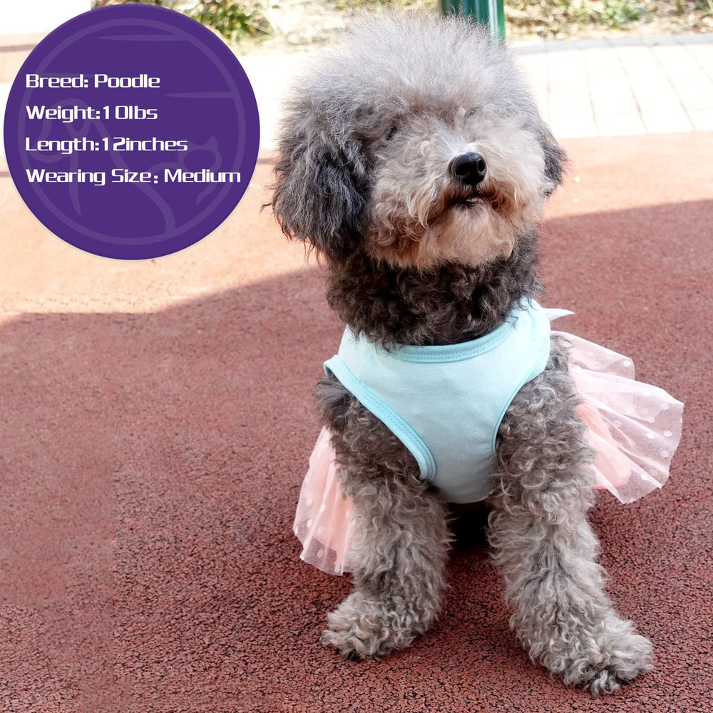 cyeollo small dog outfit ideal for Easter photos and holiday gatherings.
