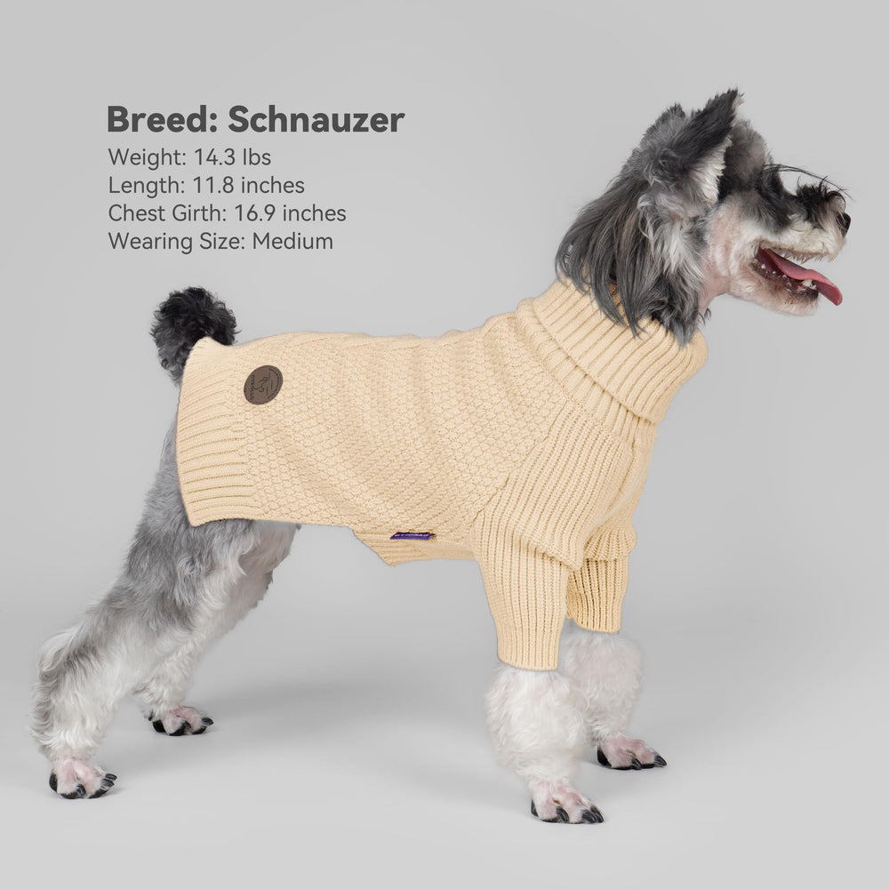 cyeollo small dog sweater back view showing seamless warmth and coverage