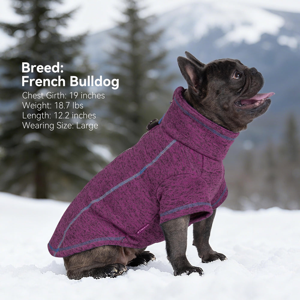 cyeollo step-in dog jacket fashion-fit demonstrates easy dressing for busy mornings