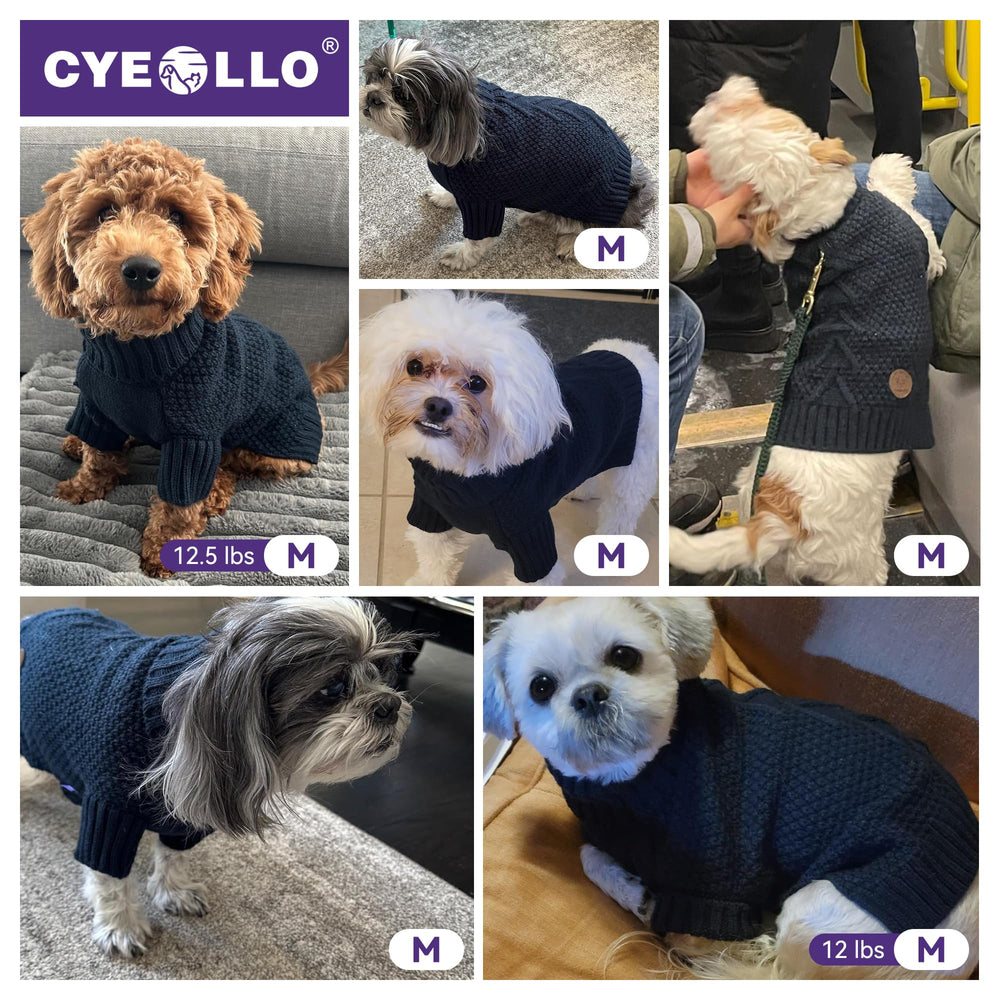 Cyeollo sweater providing sleeve and belly coverage for warmth