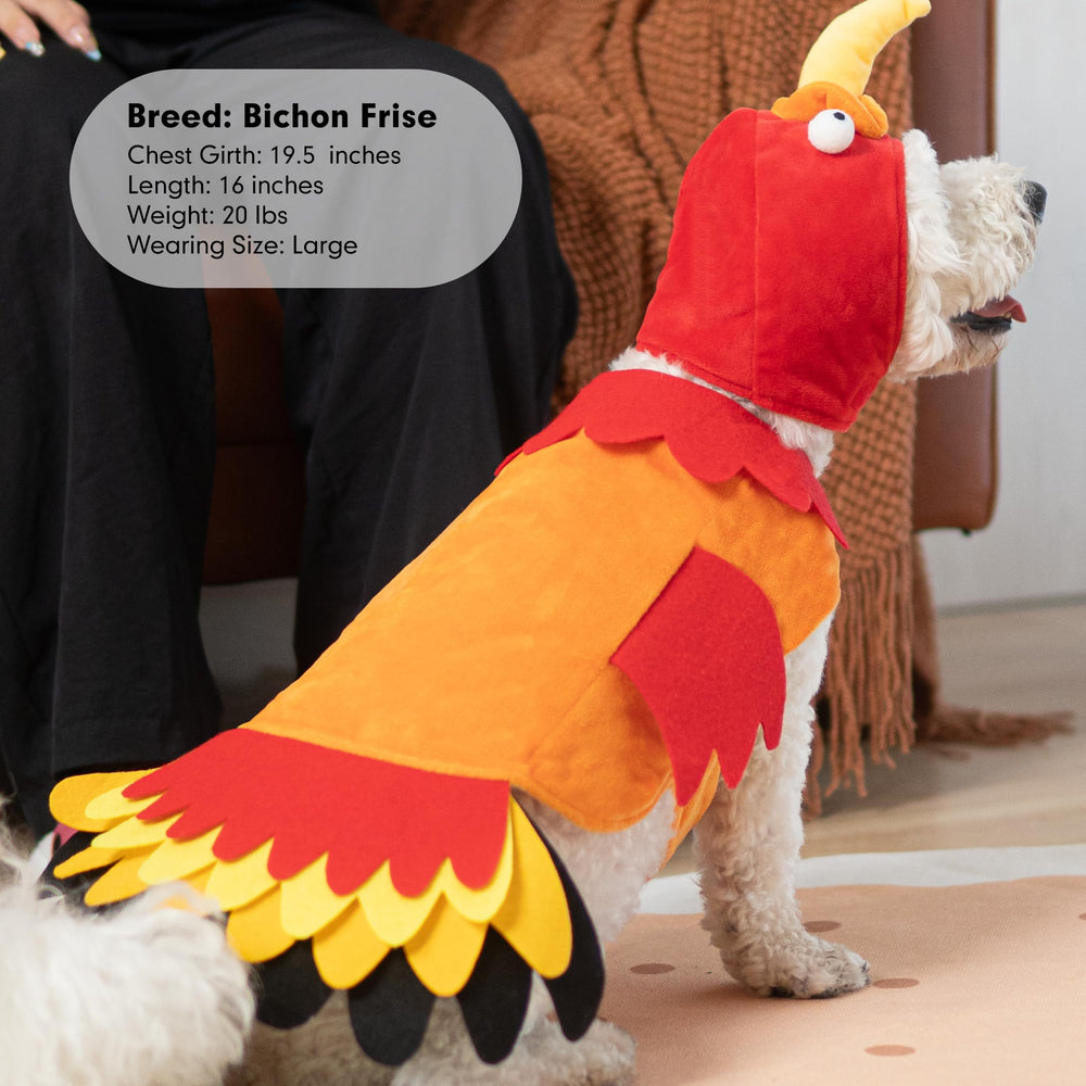 cyeollo turkey-costume wide-shot captures cheerful holiday moment