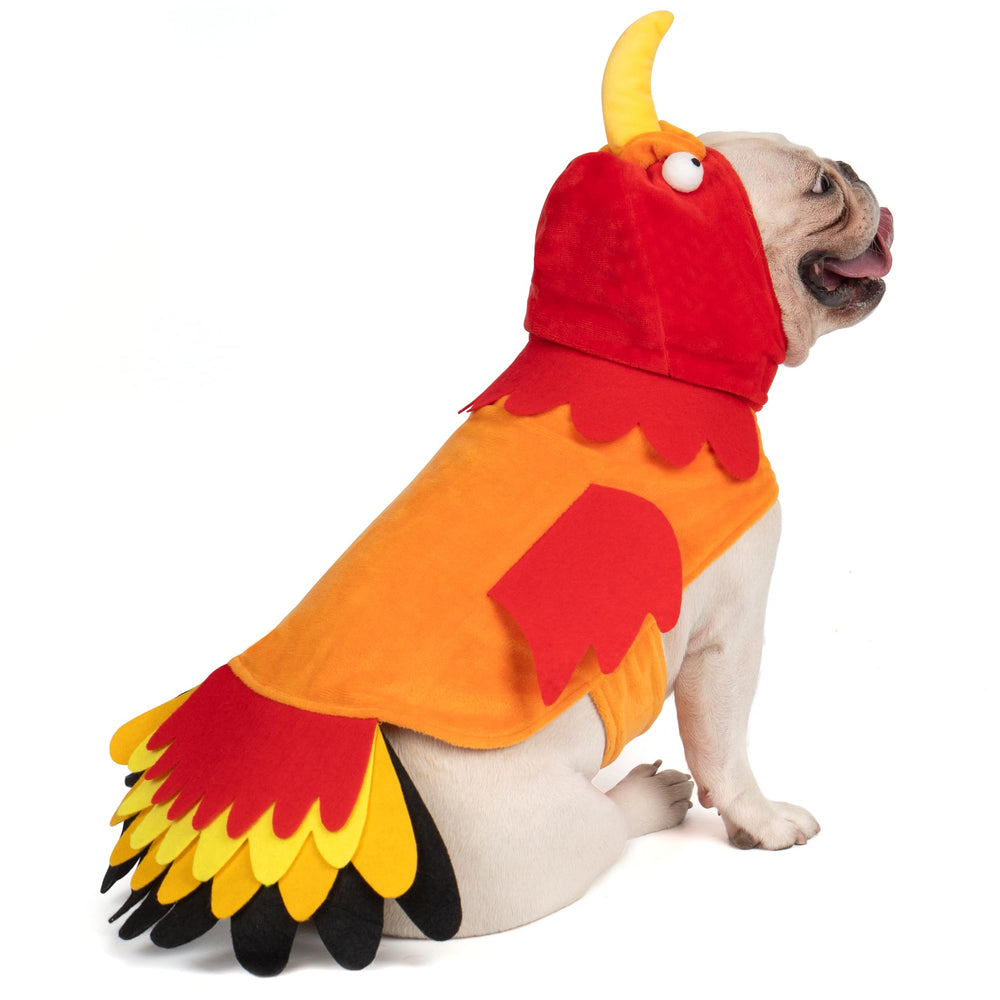 cyeollo turkey-costume dog front view for a cute festive photo