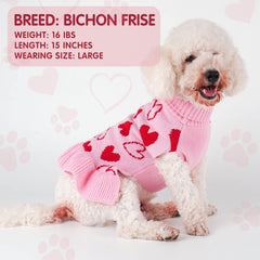 cyeollo Valentine dog sweater dress knit texture closeup highlights soft warmth