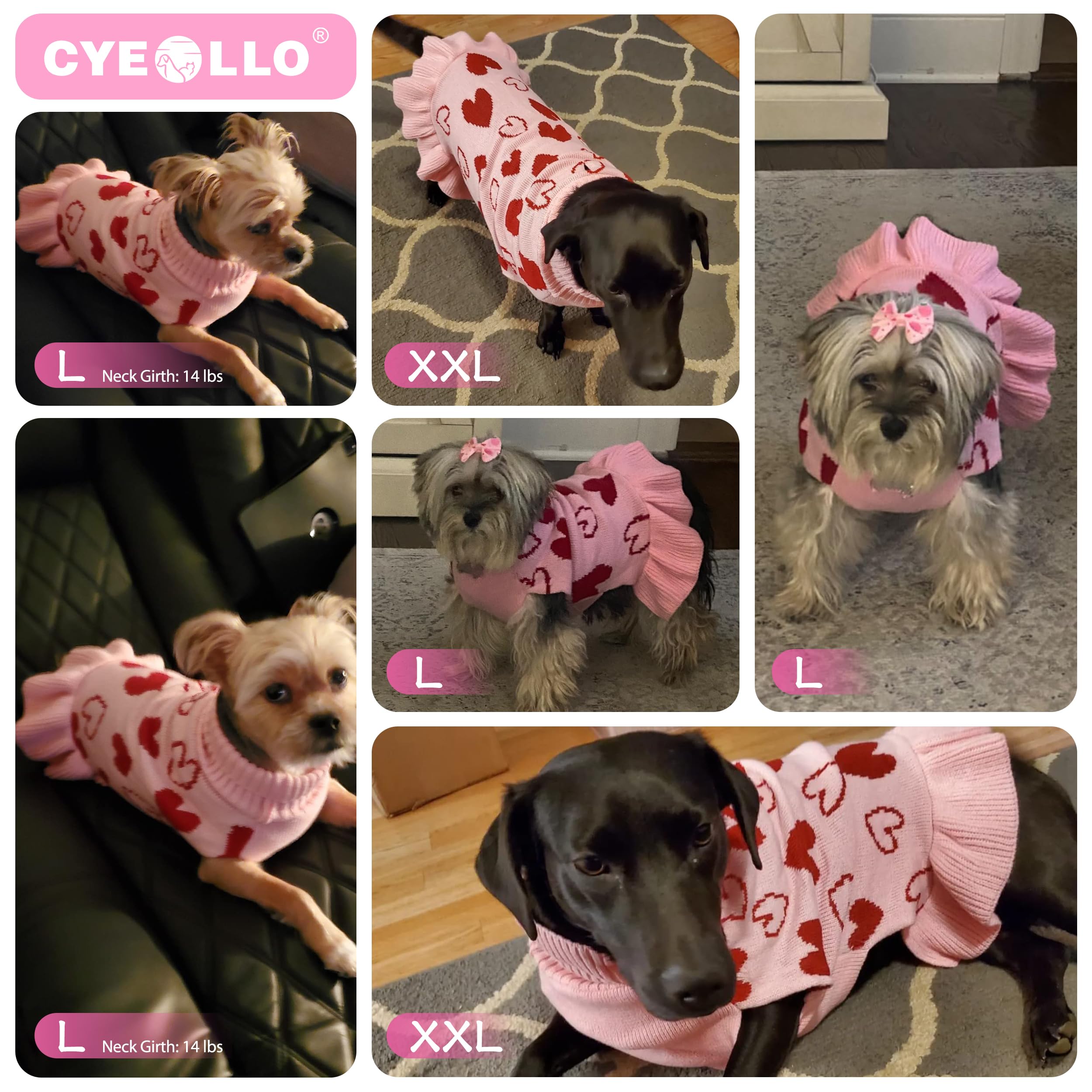 cyeollo Valentine dog sweater dress turtleneck showcases cozy protection on chilly days