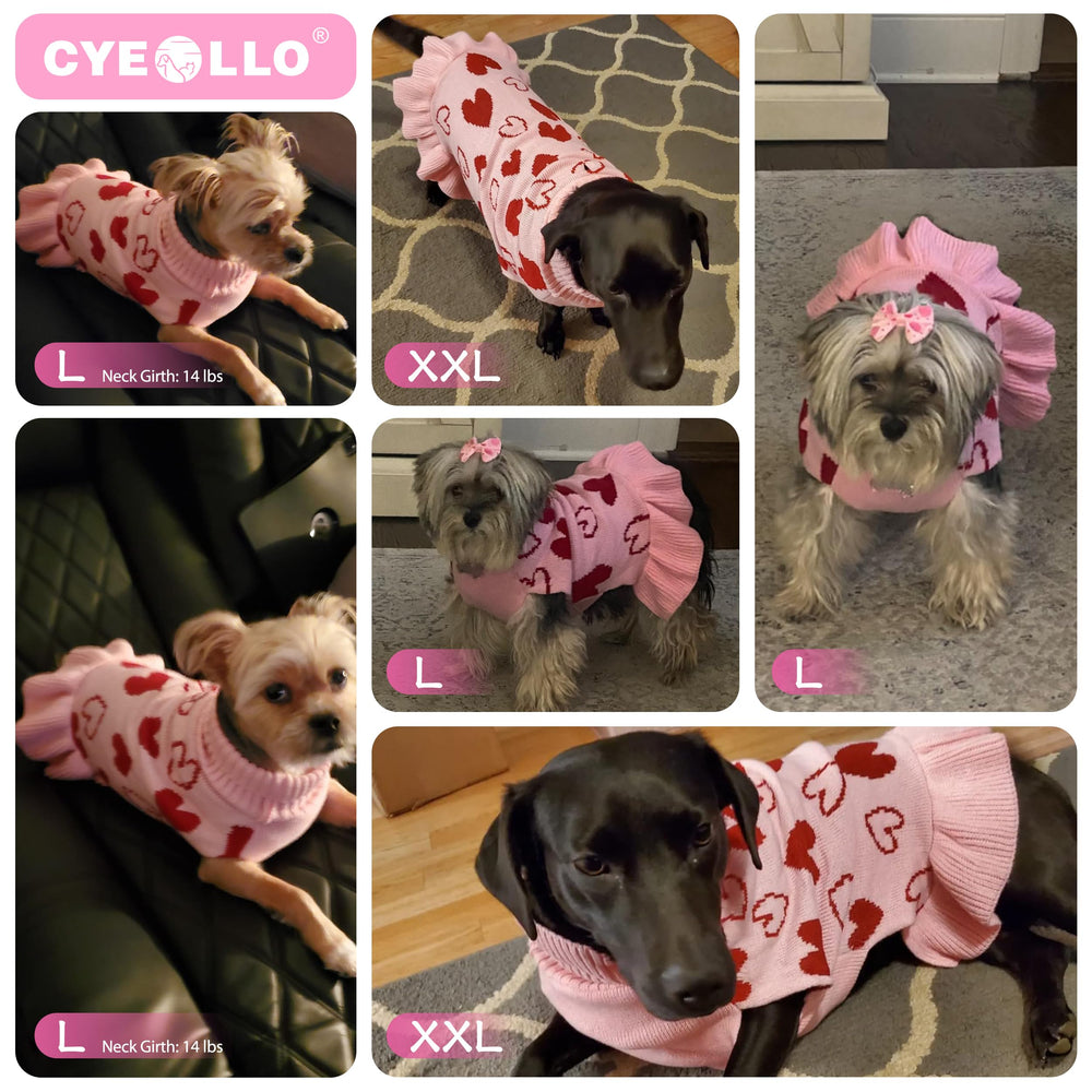 cyeollo Valentine dog sweater dress turtleneck showcases cozy protection on chilly days