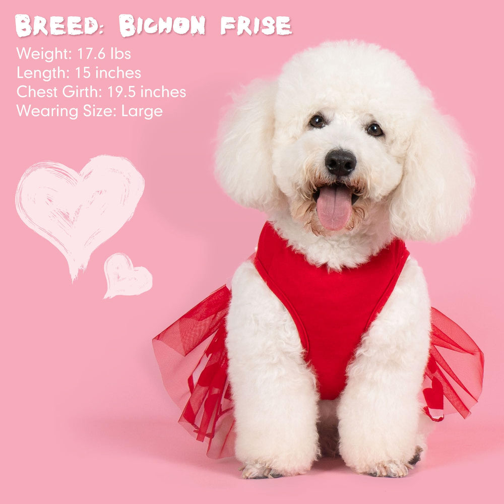 Cyeollo red tulle layer dress with heart accents, festive photos ready.