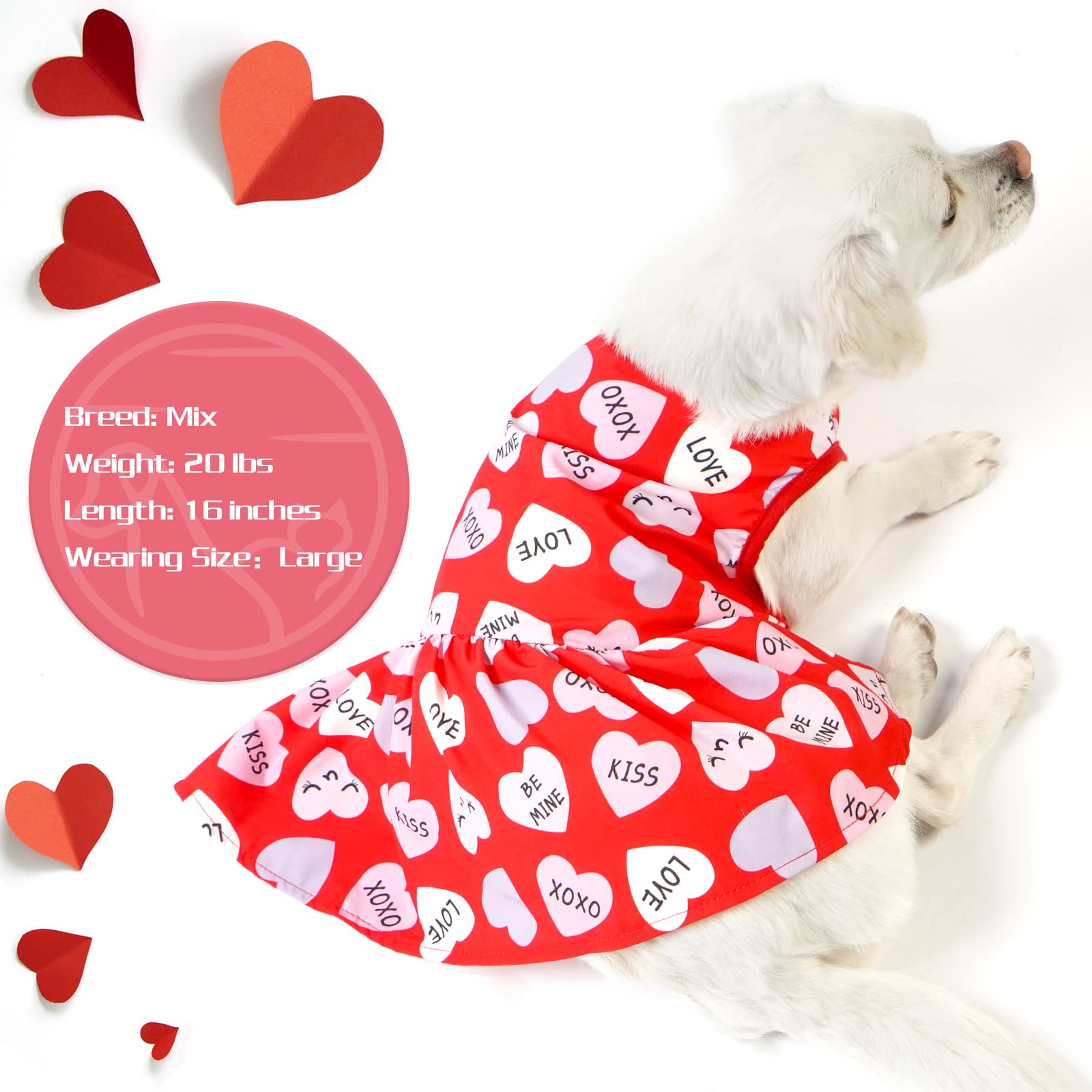 Cyeollo Valentines heart-pattern dress back view, neat silhouette for pets.