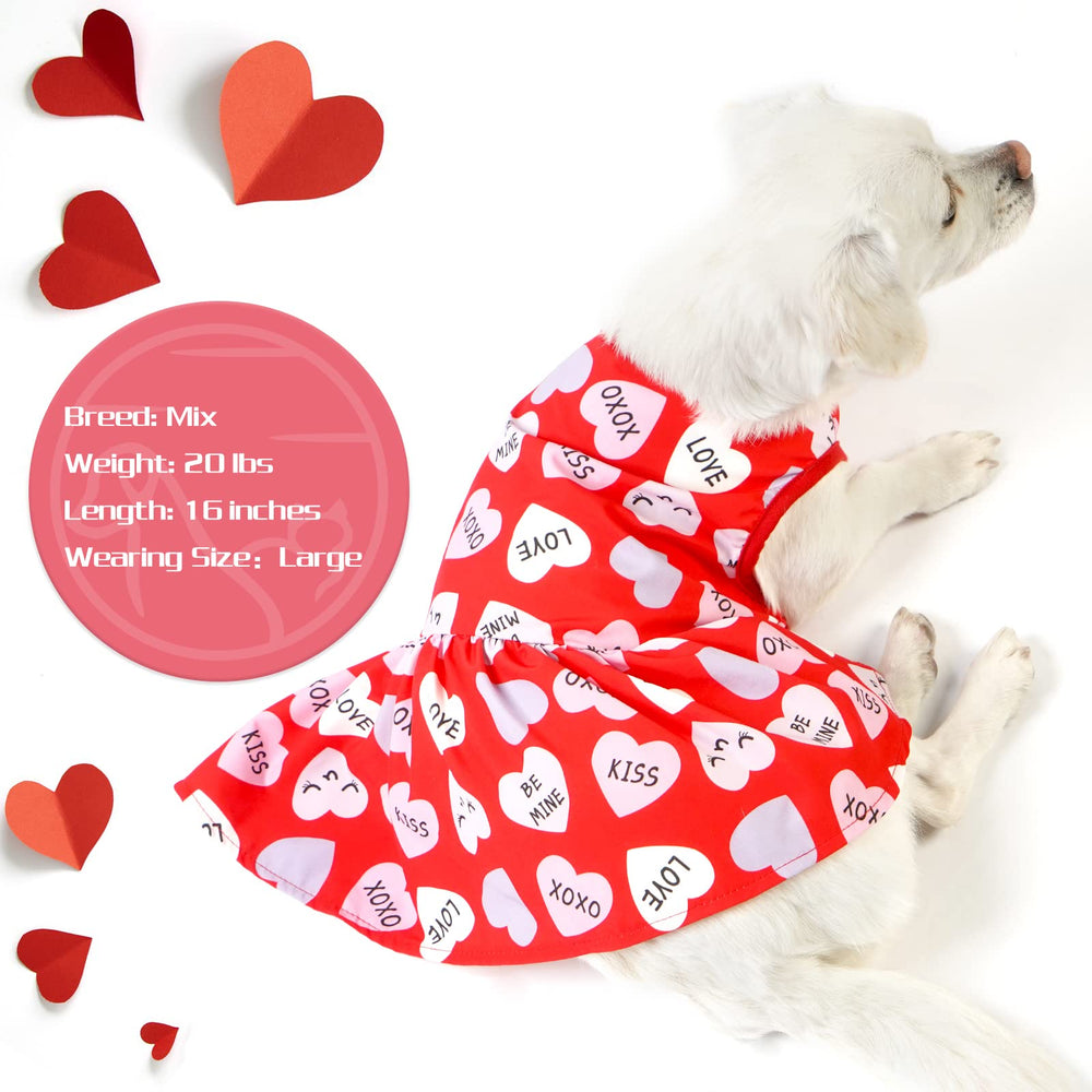 Cyeollo Valentines heart-pattern dress back view, neat silhouette for pets.