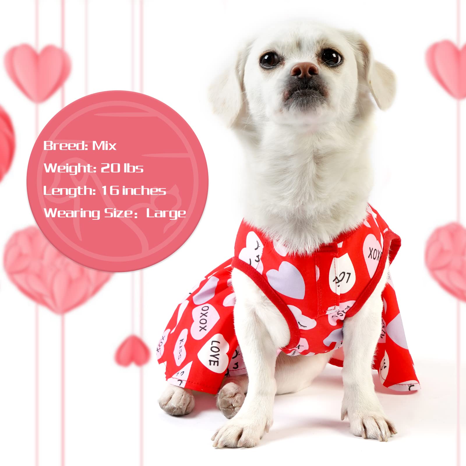 Cyeollo Valentines velcro neckline dress close-up for easy on/off.