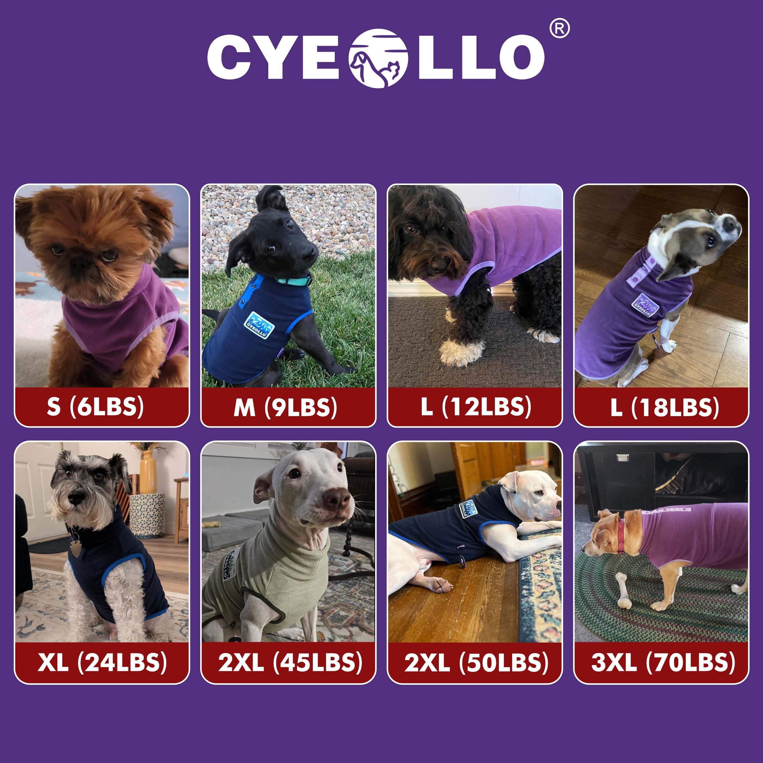 Cyeollo winter walk photo emphasizes cozy protection from cold winds.