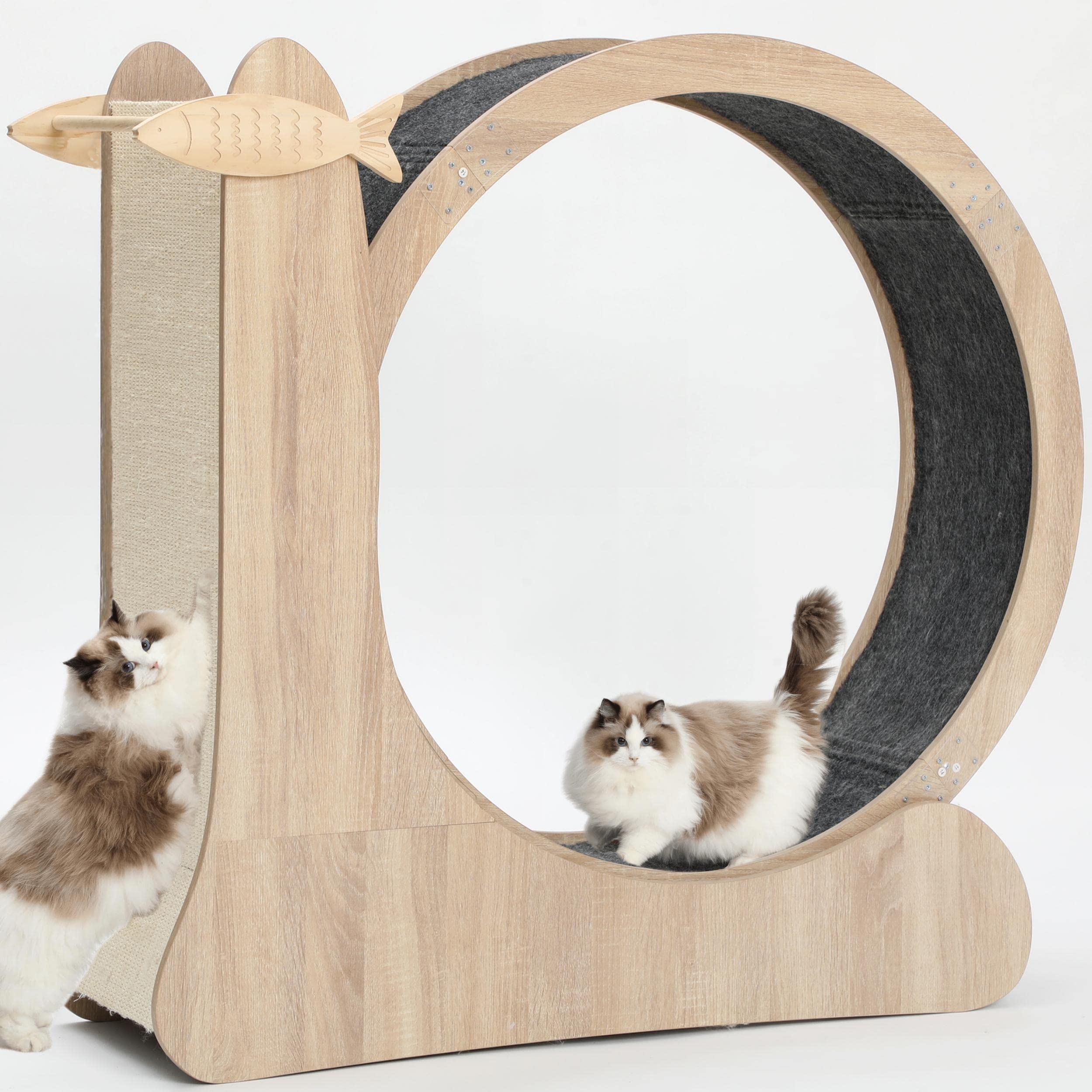 CYlively 4-in-1 cat wheel assembly shows easy setup and sturdy wood frame.