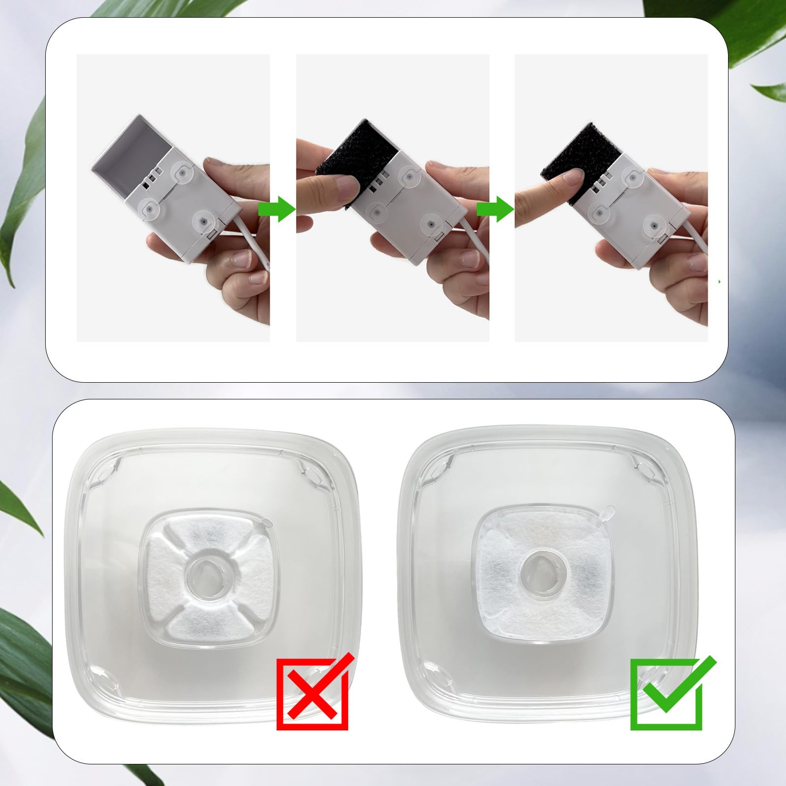 Cylomert sponge filters 12-pack trap debris for cleaner hydration.