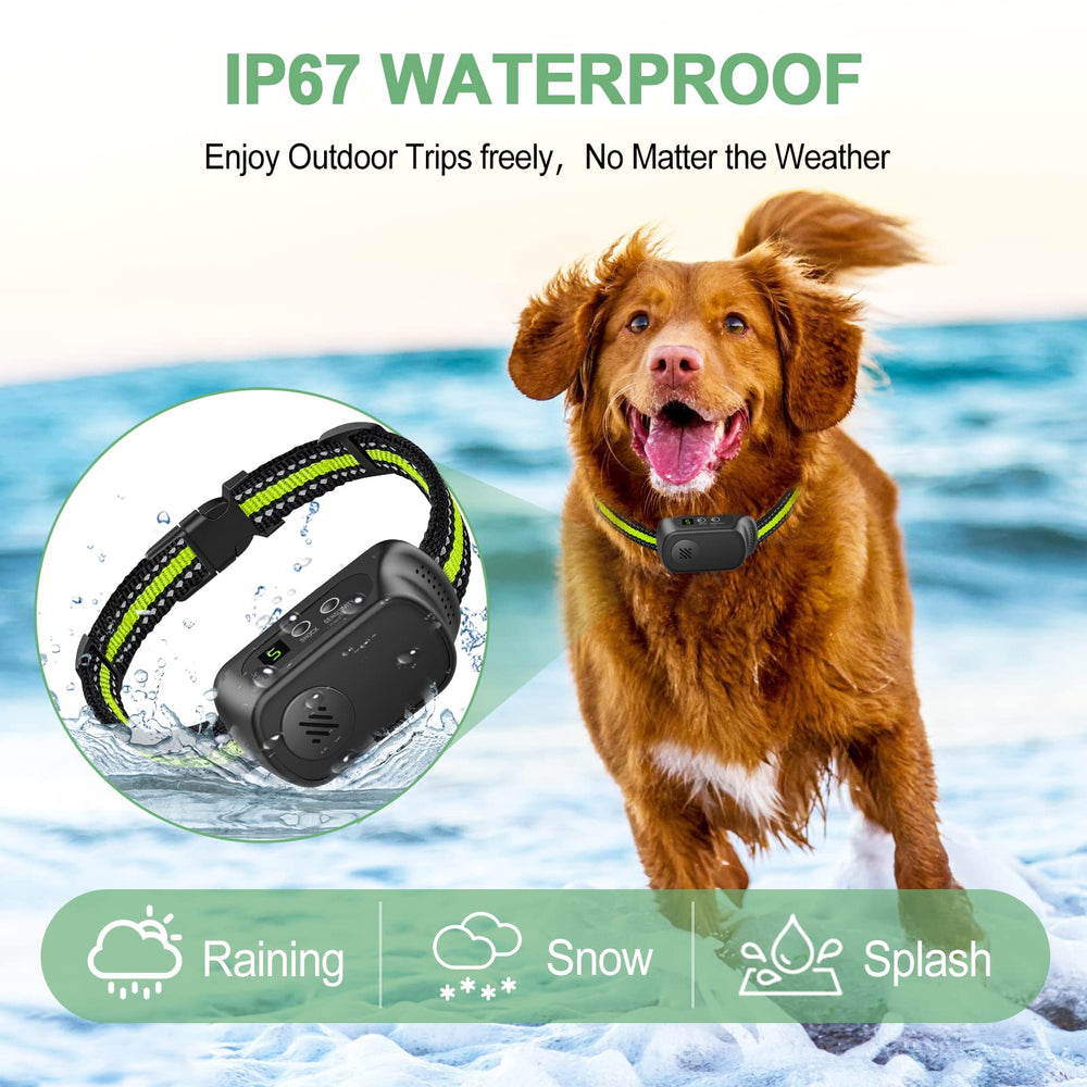 CZCCWD bark collar USB charging image highlights quick recharge and long-lasting use
