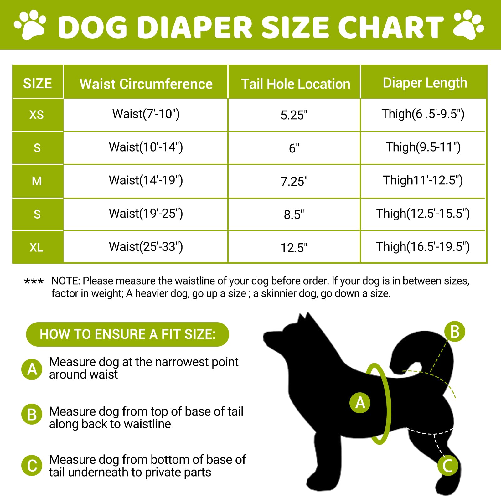 CZMIYRPY dog diapers with adjustable suspenders ensure secure, comfortable fit during play.