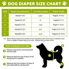 CZMIYRPY dog diapers with adjustable suspenders ensure secure, comfortable fit during play.