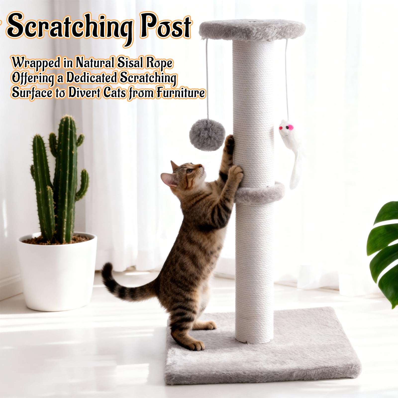 Czoynife mice toy accessory adds extra motivation for climbing and stalking indoors.