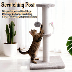 Czoynife mice toy accessory adds extra motivation for climbing and stalking indoors.