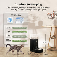 CZPET automatic 6L water-dispenser stainless-bowl closeup highlighting food-grade steel.