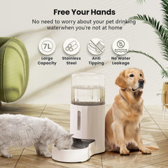 CZPET dispenser bowl and base with stainless steel bowl for safe sipping.