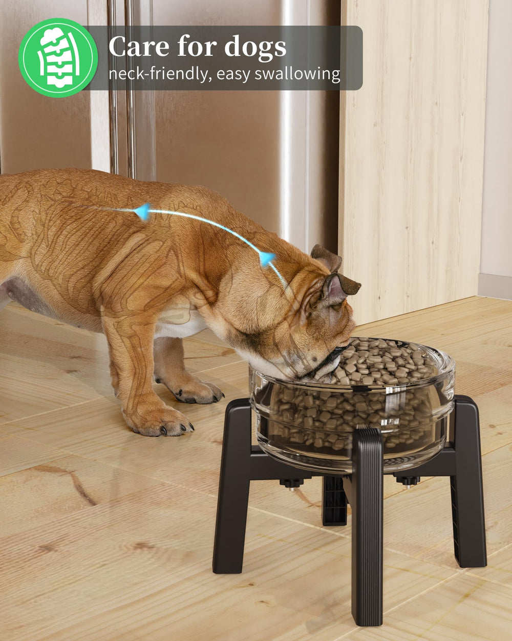 CZPET bowl stand compatible with various bowls for flexible feeding setups.