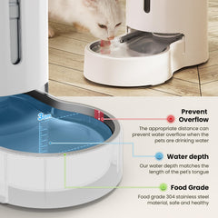 CZPET buckle and anti-slip base prevent tipping during active pets