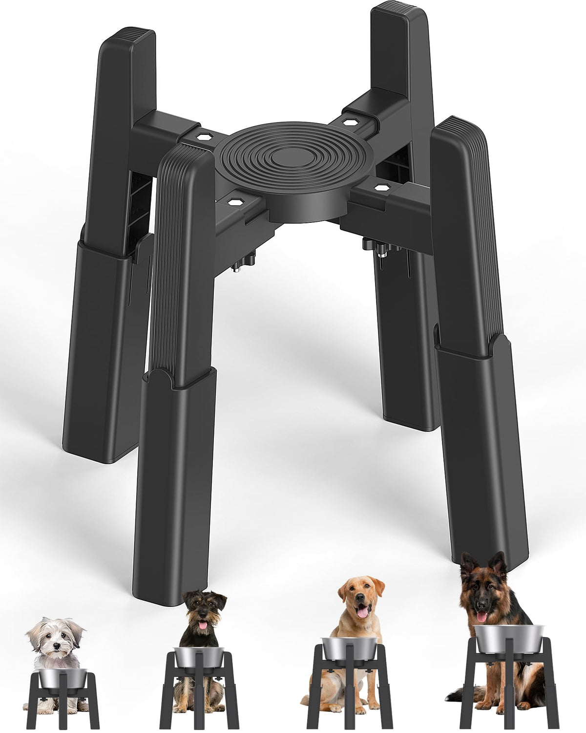CZPET dog bowl stand assembly shows tool-free setup for fast use.