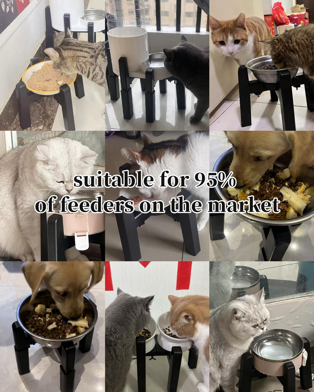 CZPET dog bowl stand for medium dogs supports comfortable neck posture.