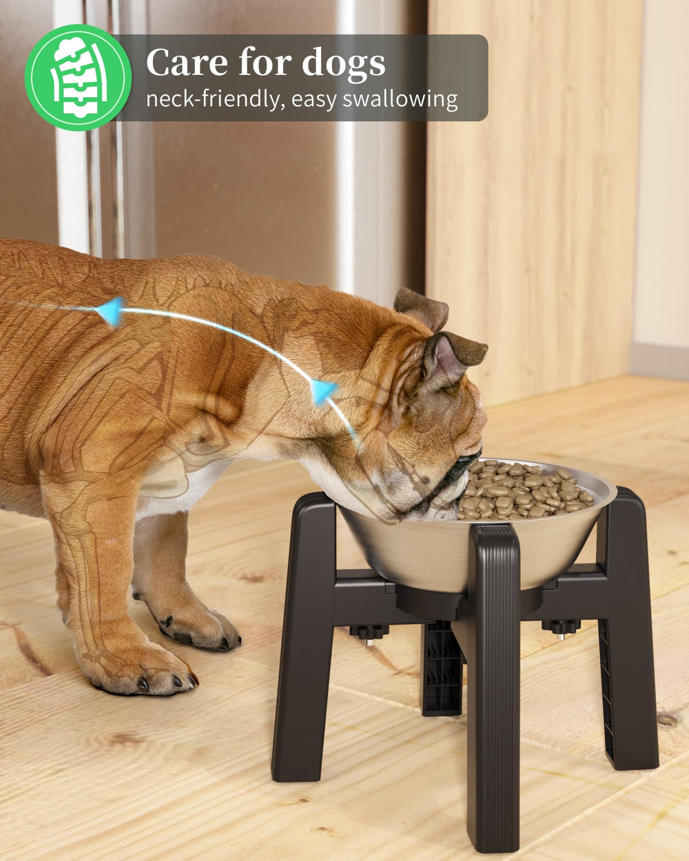 CZPET medium dogs enjoy elevated feeding posture with reduced neck strain.