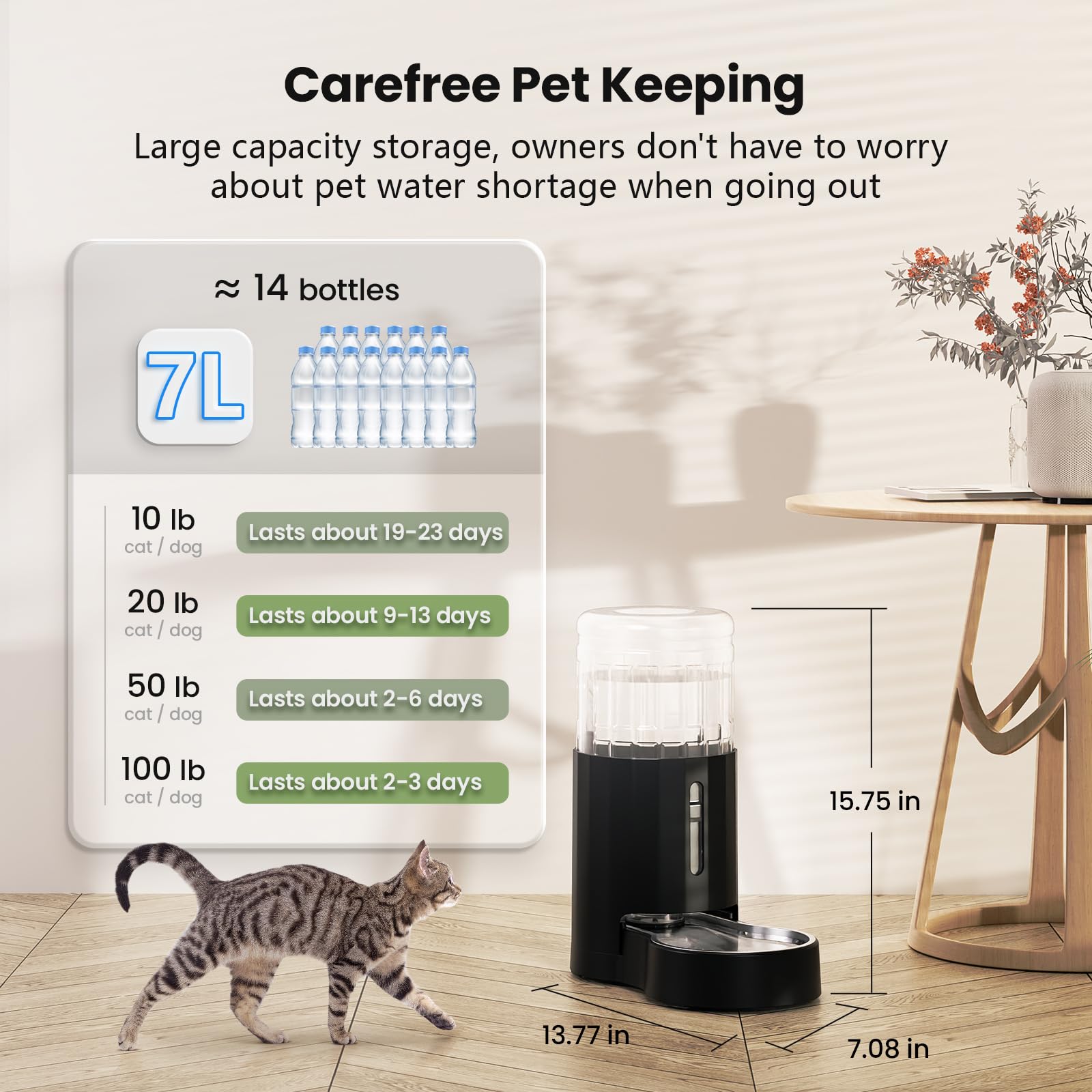 CZPET 304 stainless steel bowl keeps drinking water clean and safe.