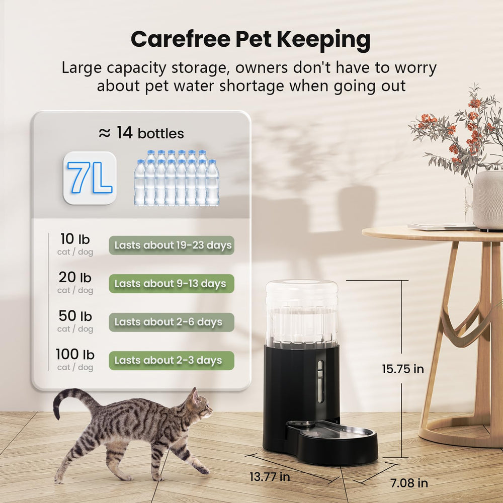 CZPET 304 stainless steel bowl keeps drinking water clean and safe.