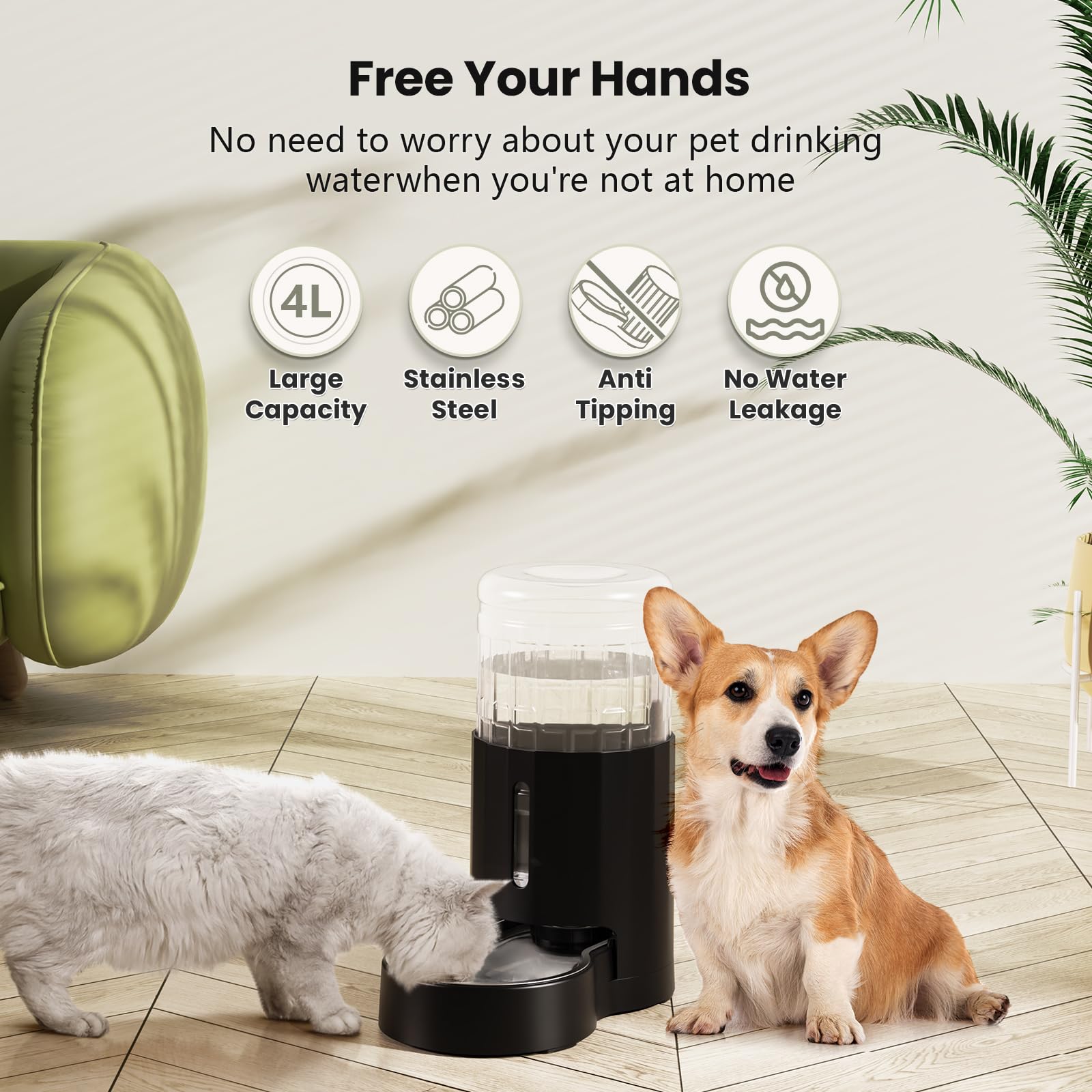 CZPET stainless steel bowl closeup for safe, hygienic pet drinking.