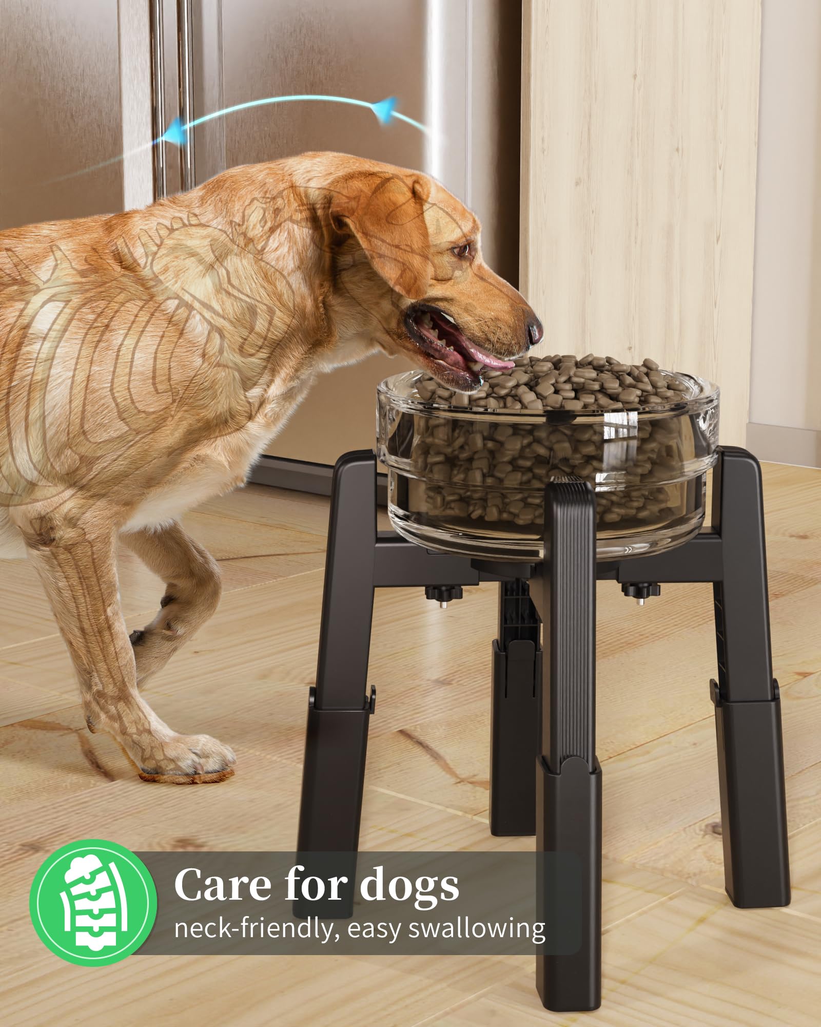 CZPET stand fits various bowls for versatile feeding setups.