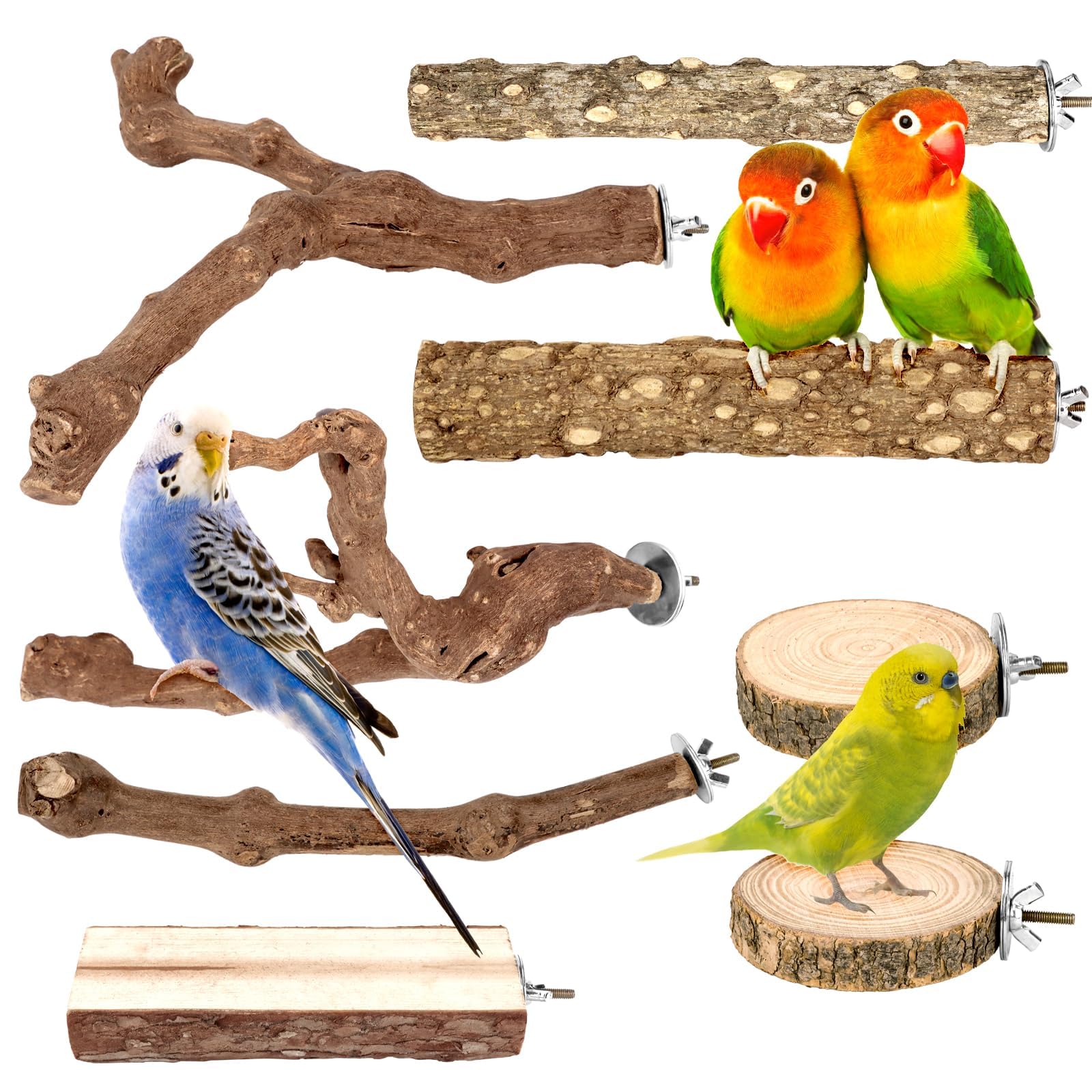 CZWESTC 8PCS Grapewood Perch Set forked branches for engaging parrot climbing