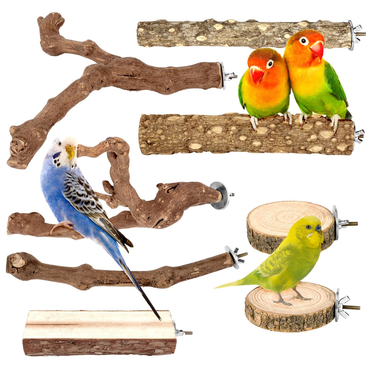 CZWESTC 8PCS Grapewood Perch Set forked branches for engaging parrot climbing