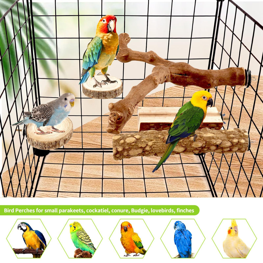 CZWESTC Bird Enrichment Mini Forest explore textures and natural climbing
