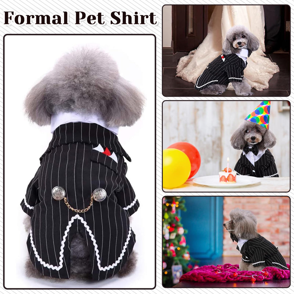 DENTRUN dog tuxedo side profile displays sleek silhouette.
