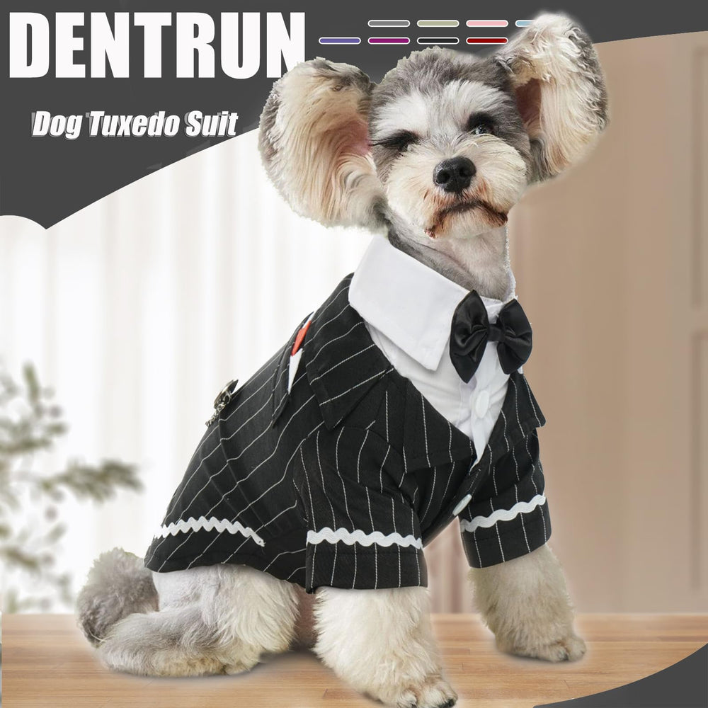 DENTRUN dog tuxedo bow tie detail highlights crisp collar and pocket accents.