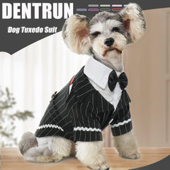 DENTRUN dog tuxedo bow tie detail highlights crisp collar and pocket accents.