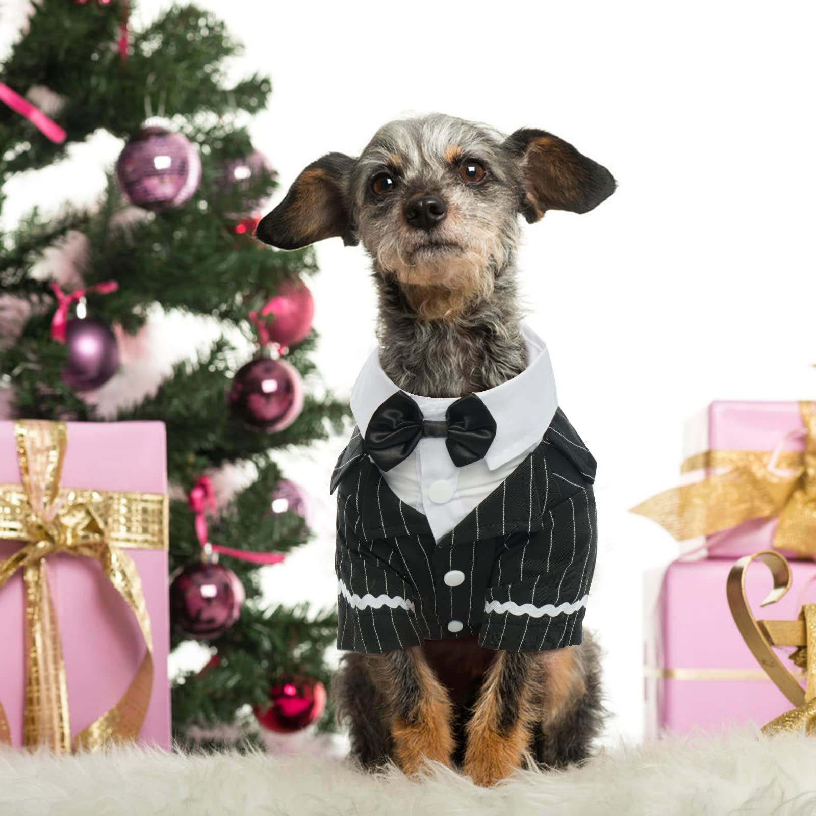 DENTRUN dog tuxedo fabric-wrinkle resistance keeps shape during wear.