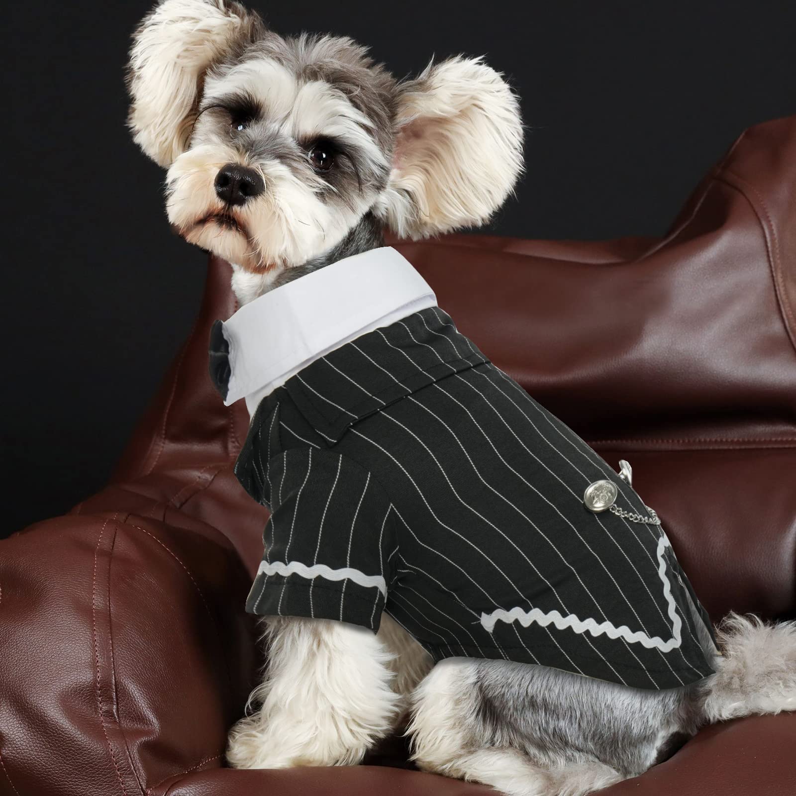 DENTRUN dog tuxedo size-fit guide helps choosing the right look.