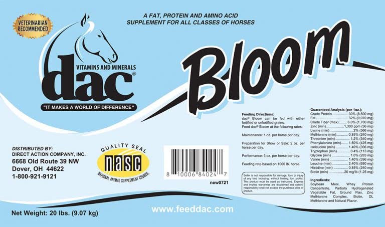DAC Bloom in a stable setting with a calm horse indicating improved body condition.