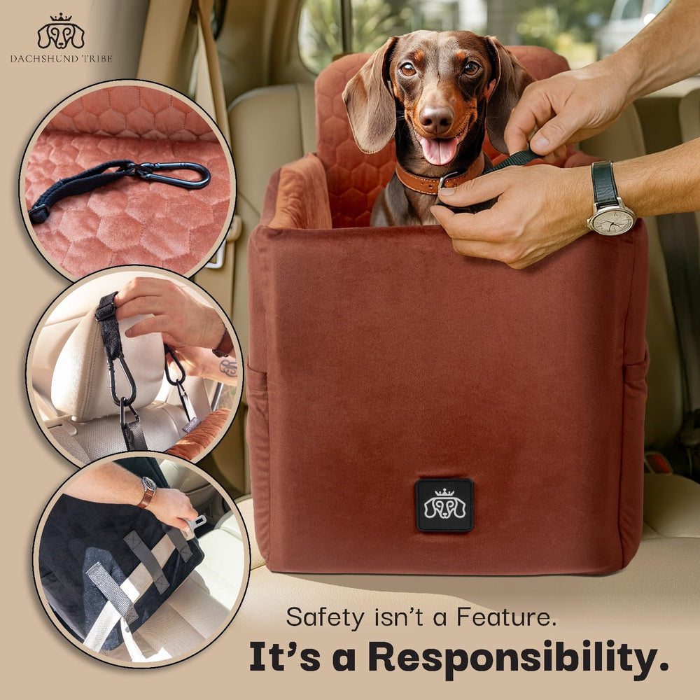 Dachshund Tribe adjustable height helps better window view.