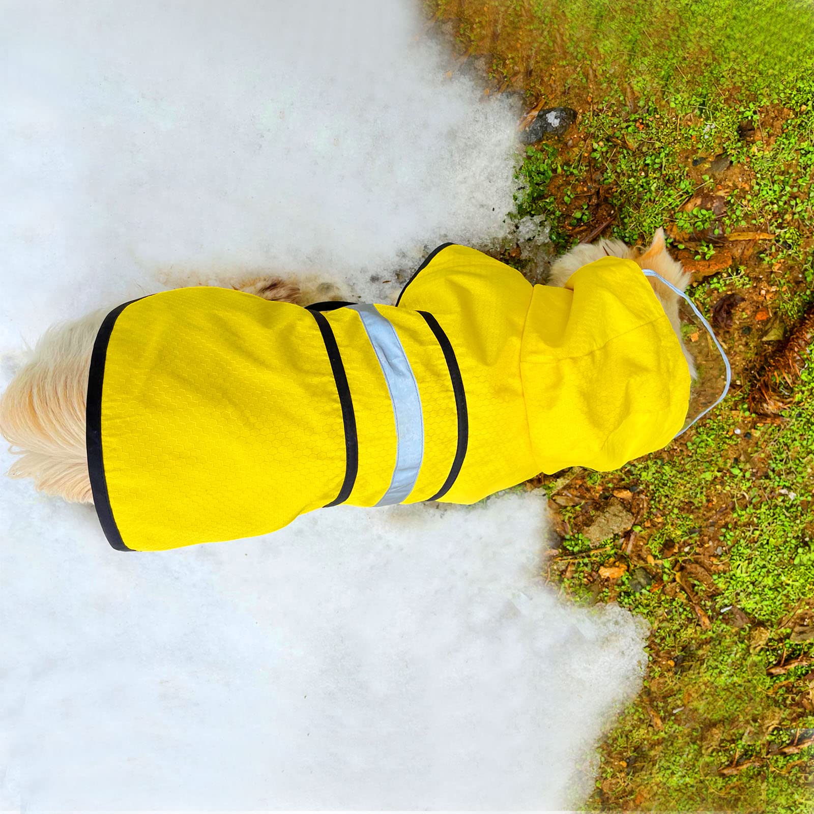 Dadanfly dog raincoat yellow back view highlights visibility and comfort