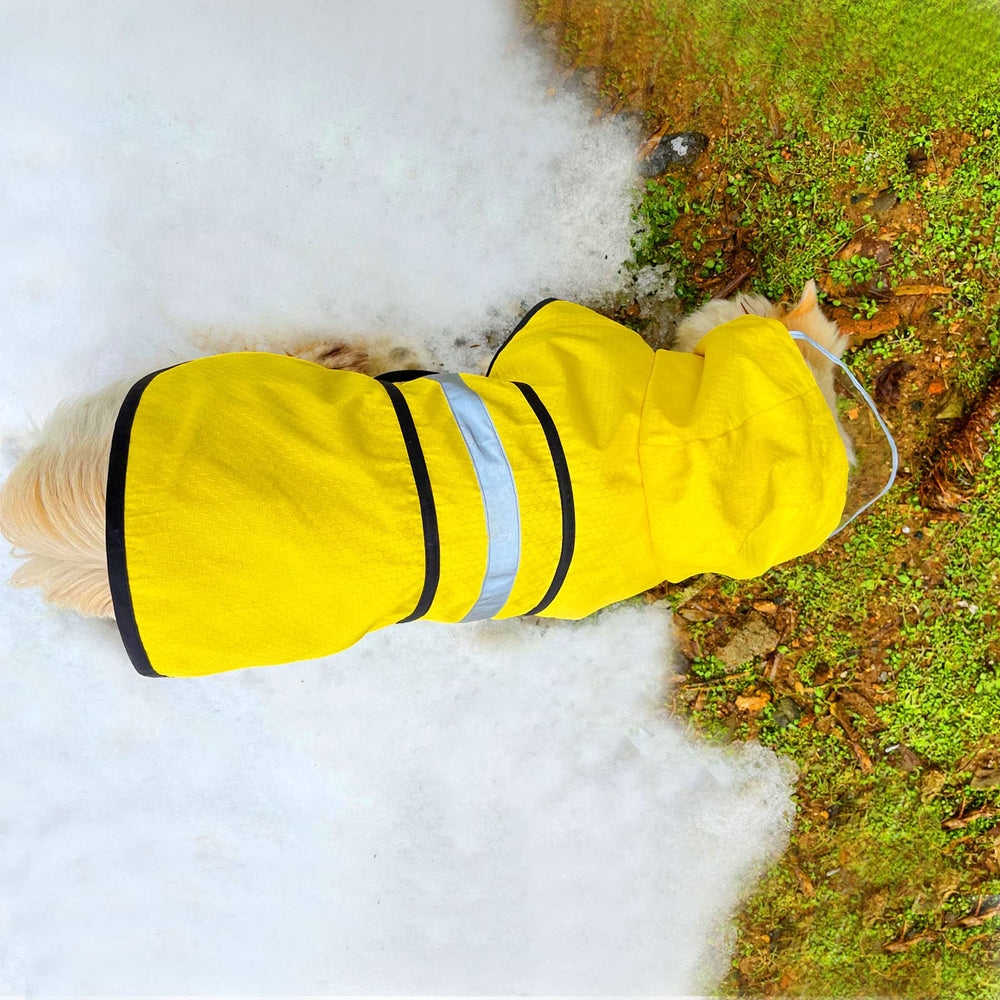 Dadanfly dog raincoat yellow back view highlights visibility and comfort