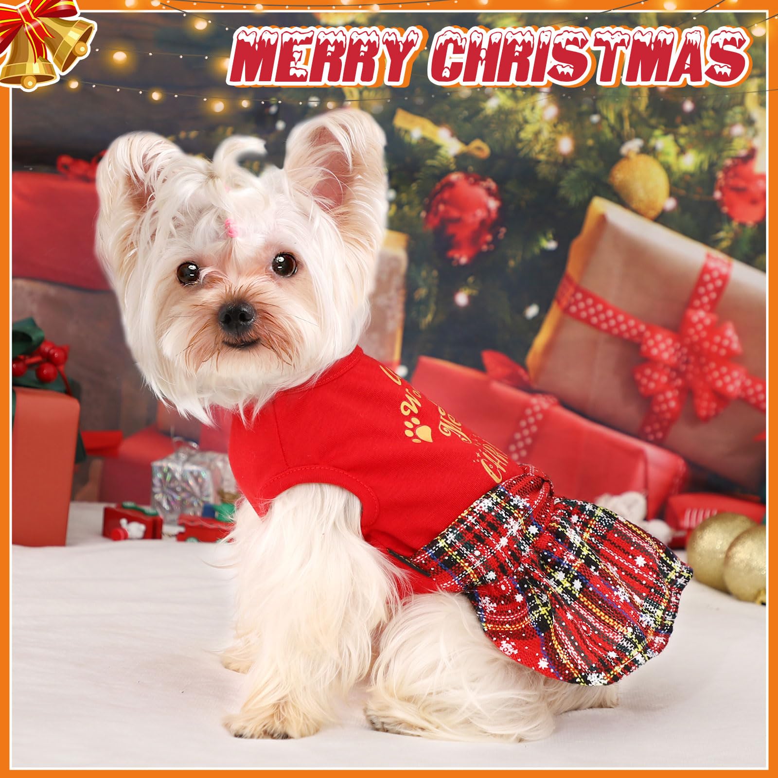 DaFuEn dress with We Woof You A Merry Christmas graphic for festive photos.