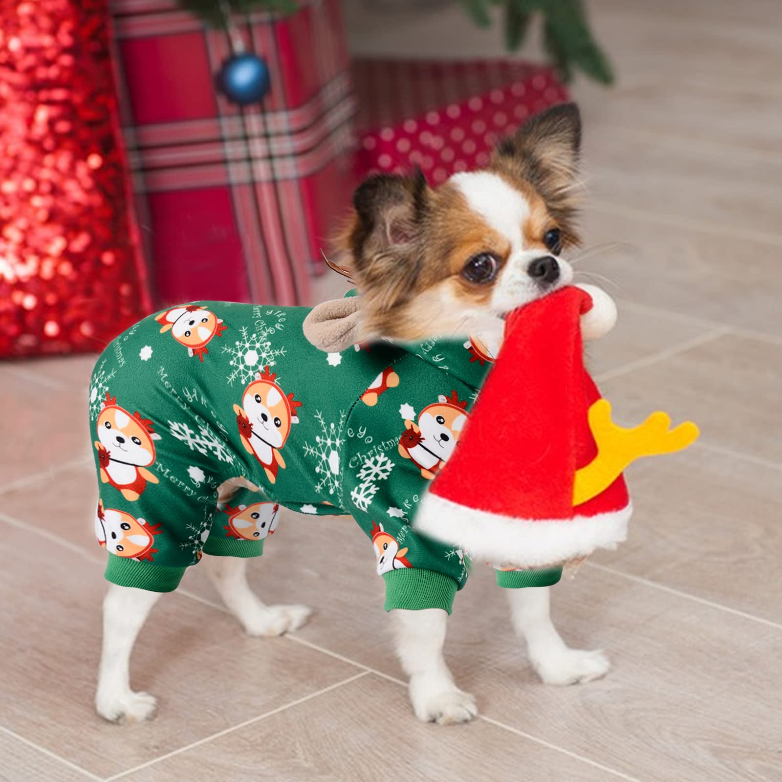 DaFuEn winter dog outfit shown in indoor outdoor holiday scene