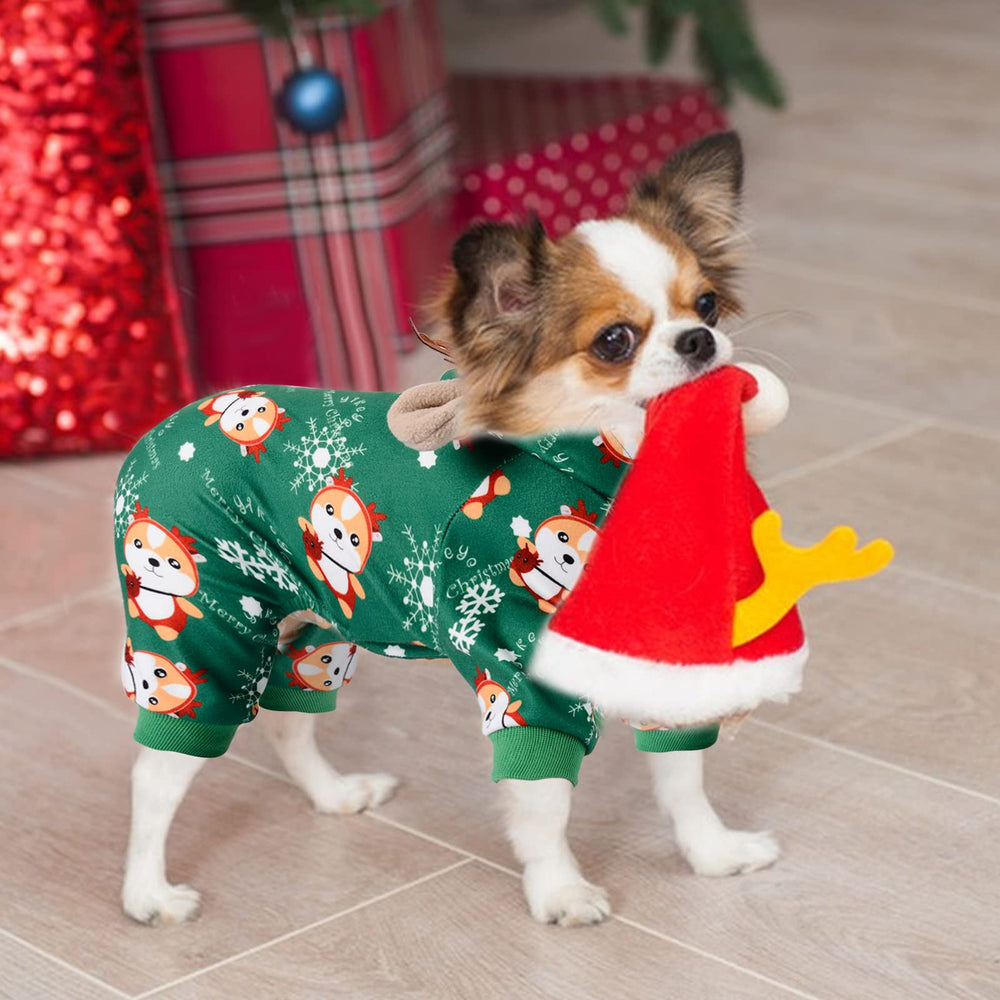 DaFuEn winter dog outfit shown in indoor outdoor holiday scene